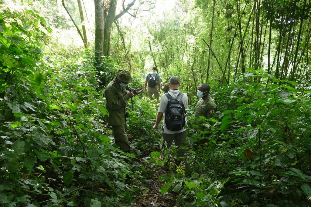 guided nature walk