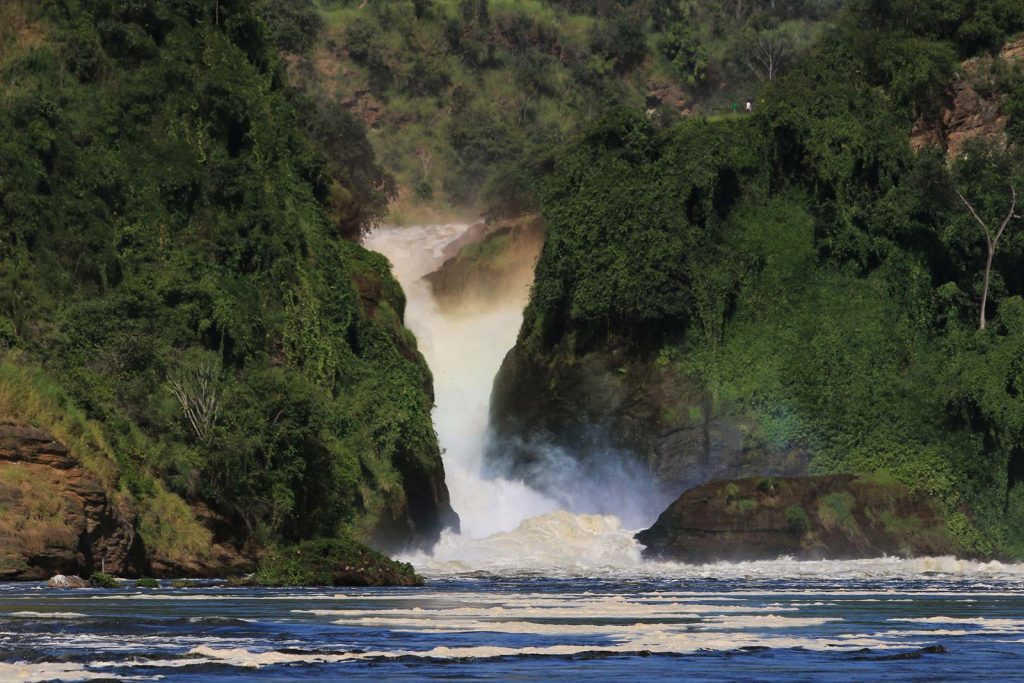 Murchison Falls Safari