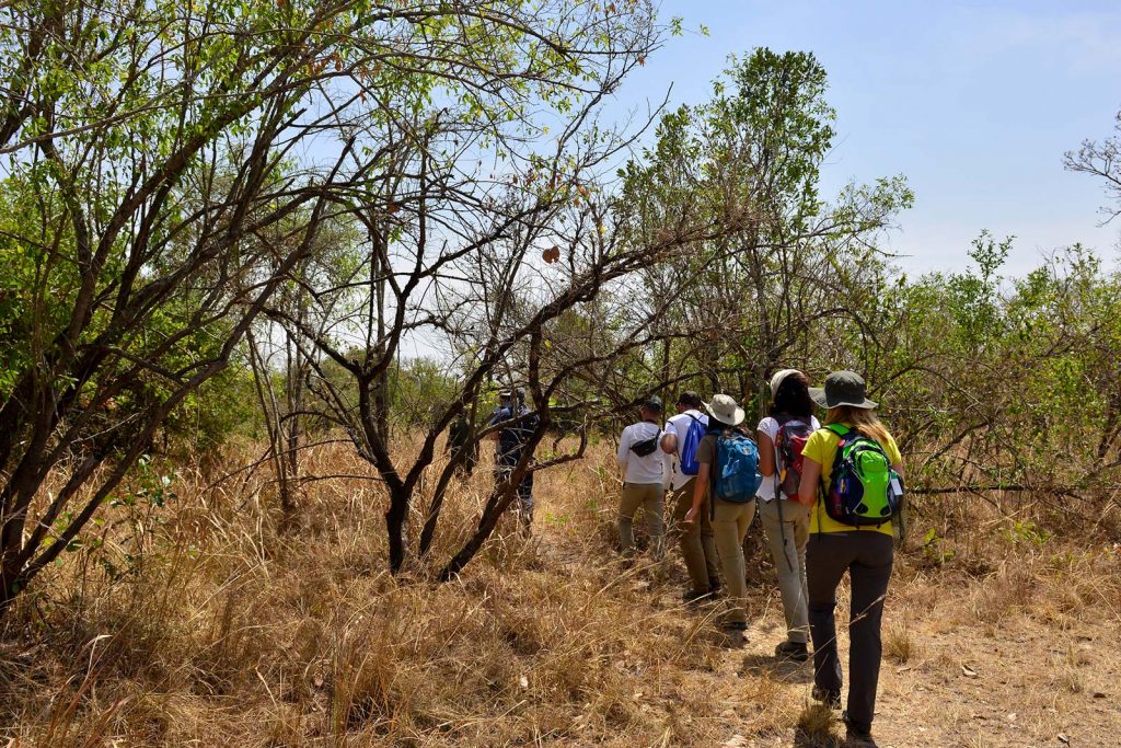 nature walks in Murchison