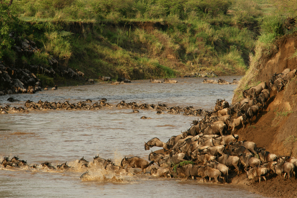 Serengeti National Park Tanzania